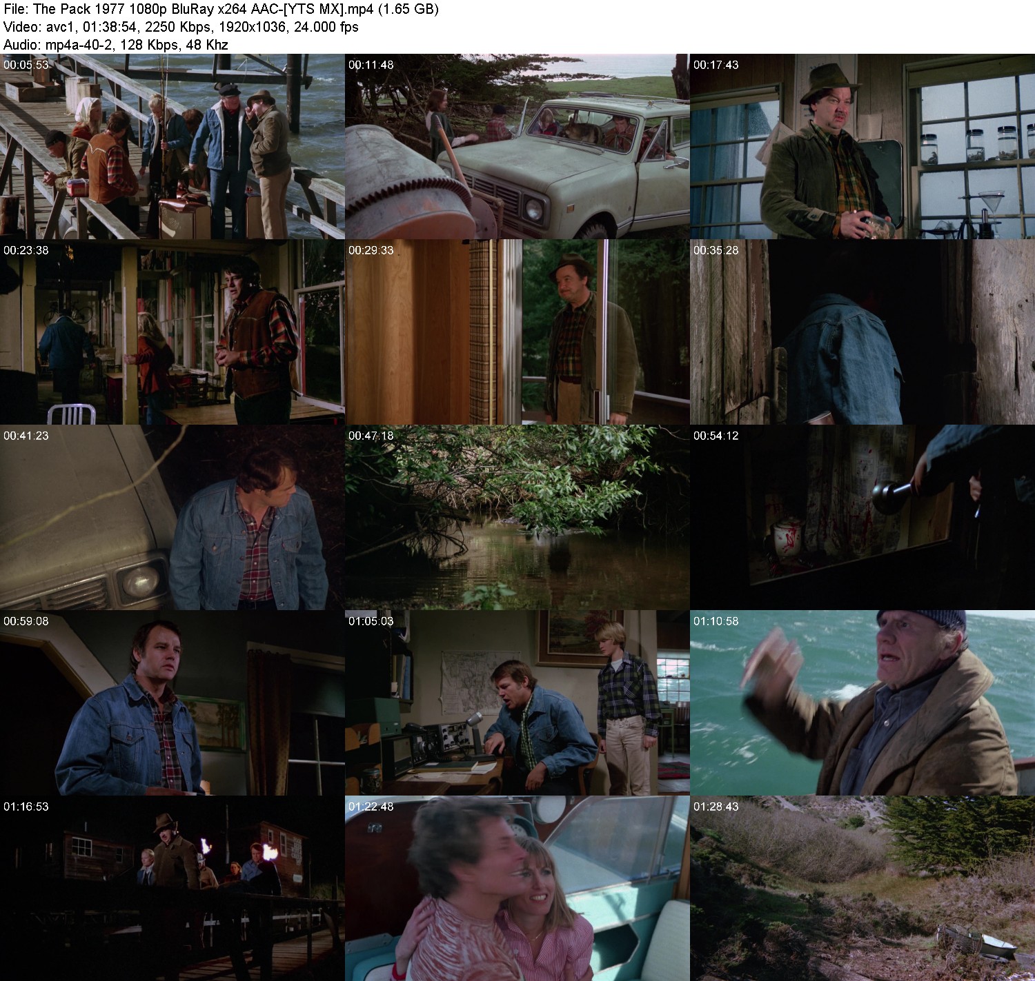 [Image: gxe09jhb1qt6.jpg]