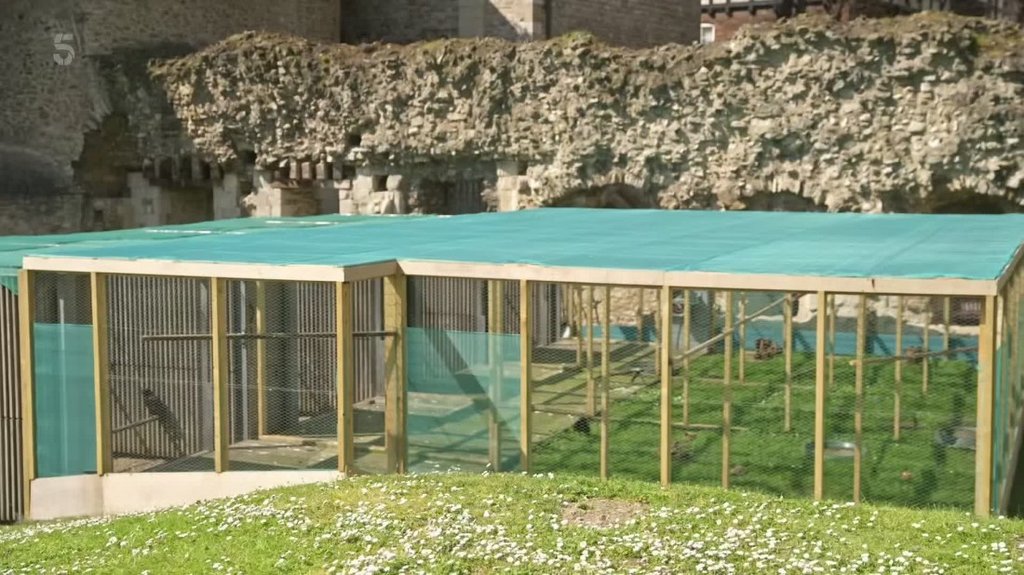 [Image: t402husraz7j.jpg]