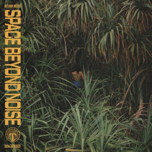 Not Even Noticed - Space Beyond Noise (2026)