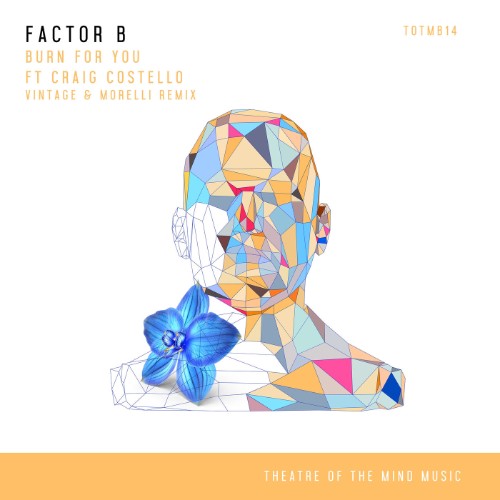 Factor B Ft. Craig Costello - Burn For You (Vintage & Morelli Remix) (2026)