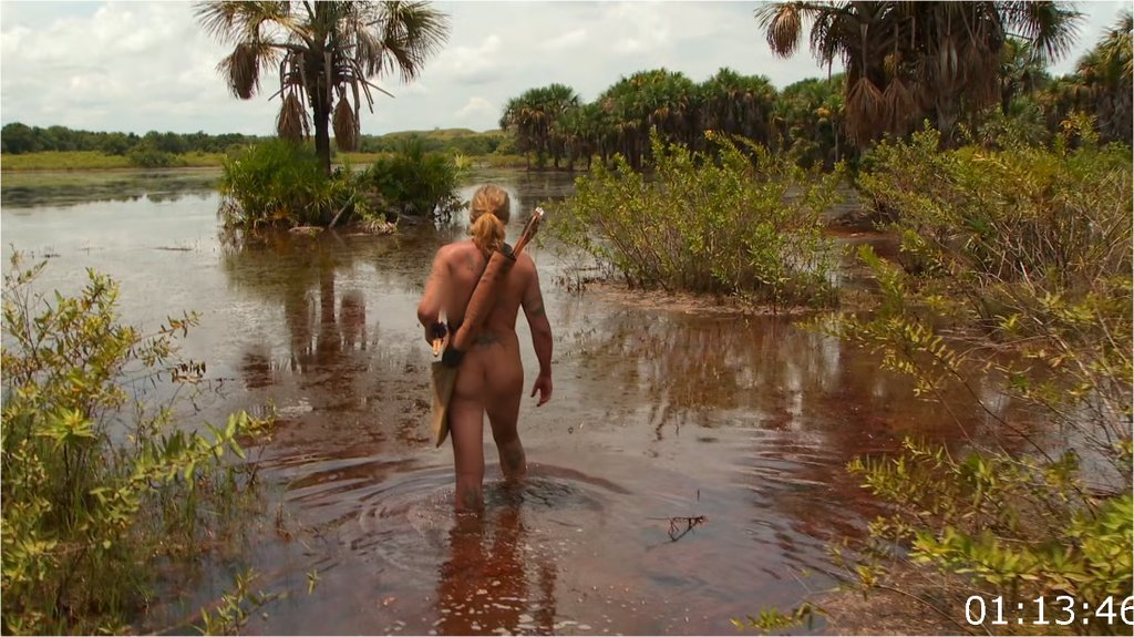 [Image: 919g1sbwstof.png]