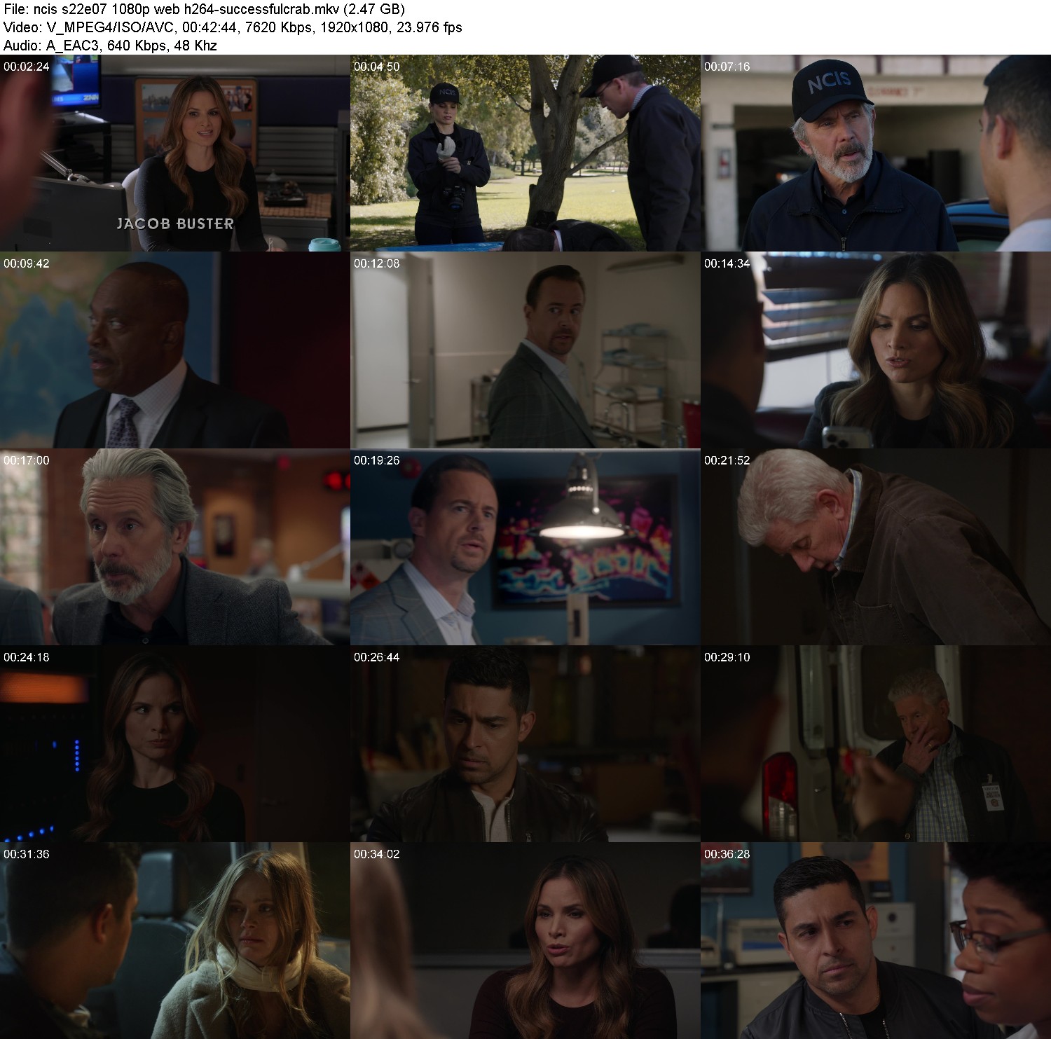 [Image: 3mterq1k1y2p.jpg]