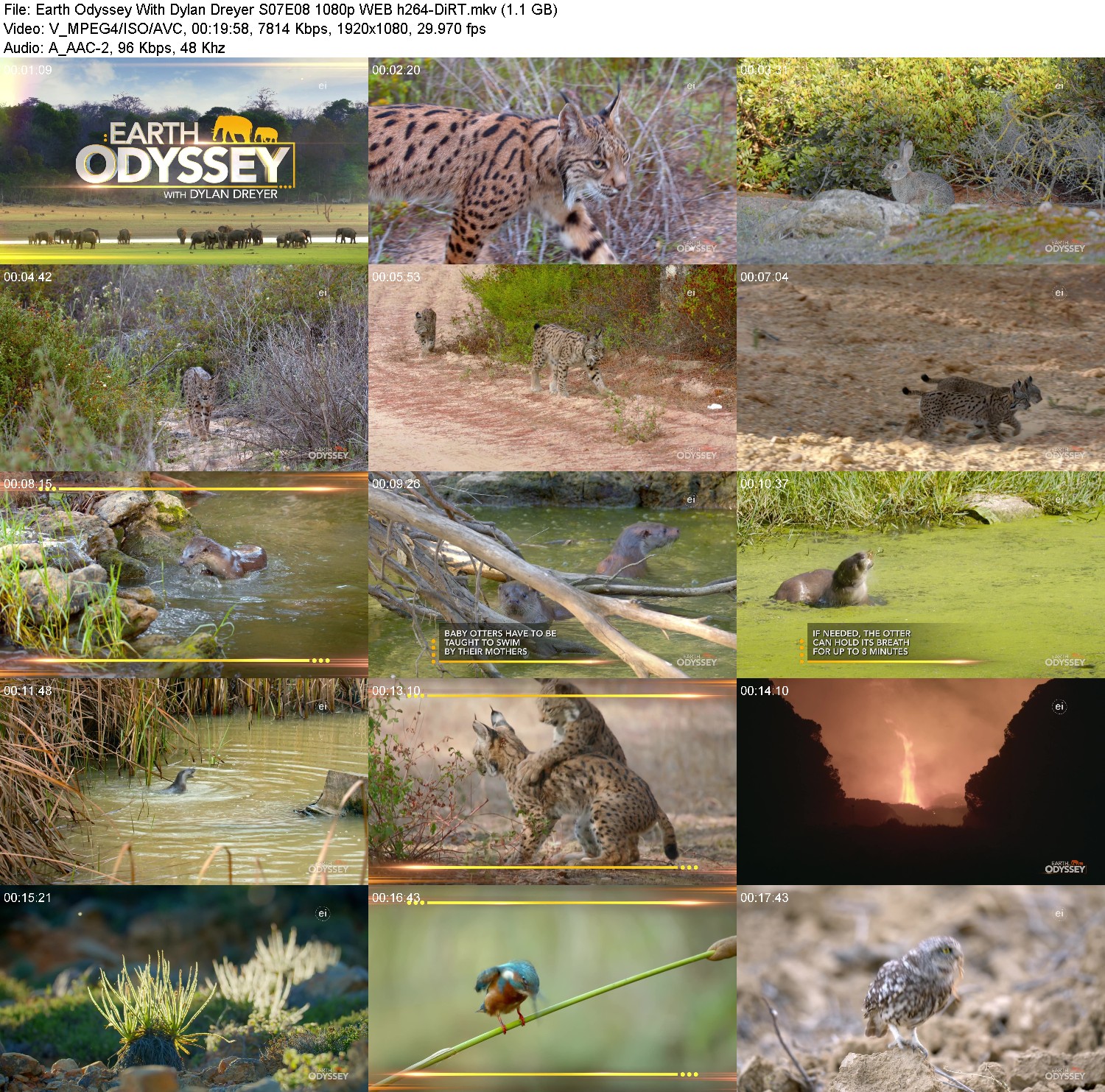 [Image: b0f7se5d9has.jpg]