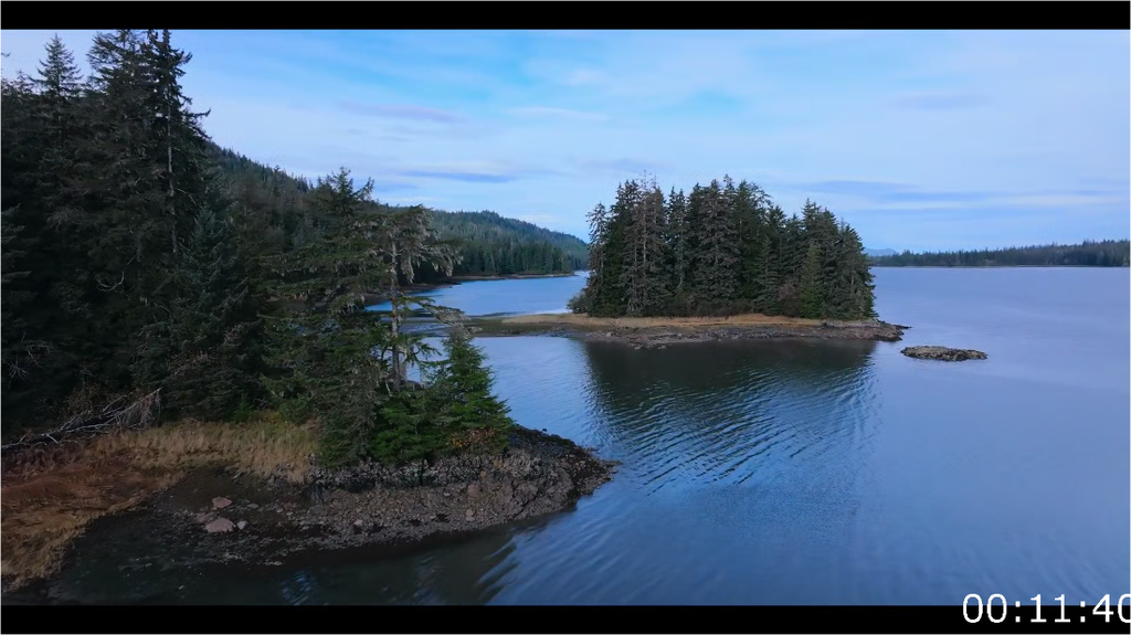 [Image: bm97matm5hx1.png]