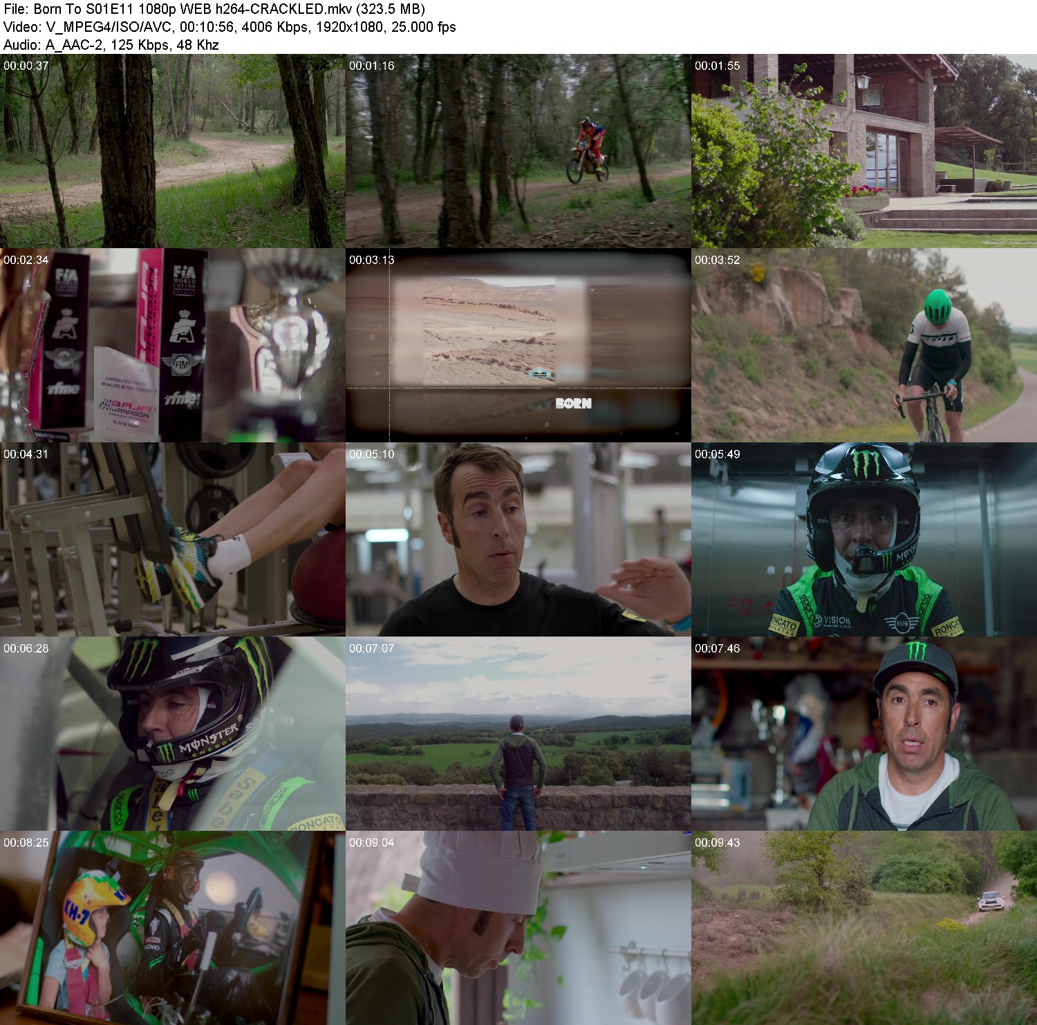 [Image: eg75vce22lbb.jpg]