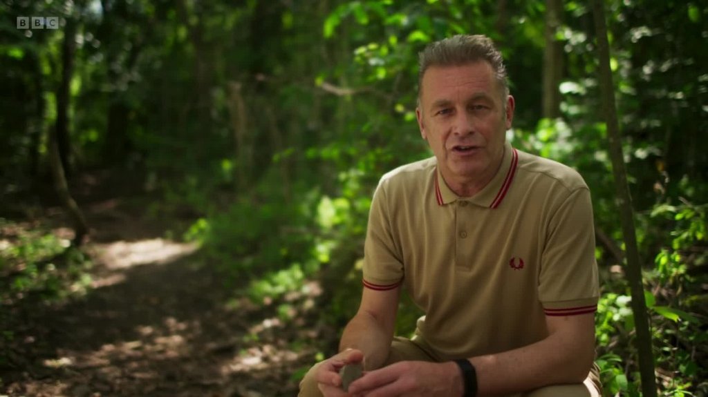 [Image: rx3ils9jo7c8.jpg]