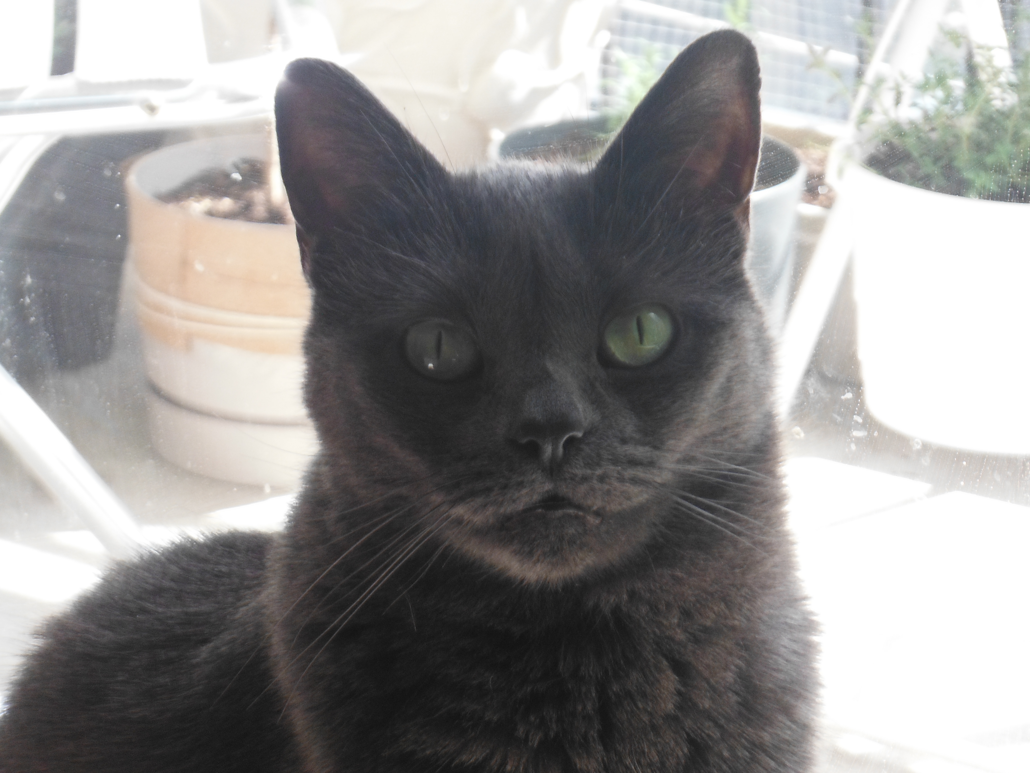DSCF6088.jpg