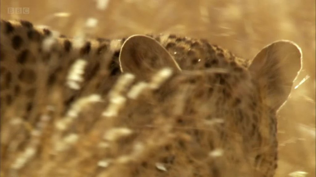 [Image: qkwf8no2a20q.jpg]