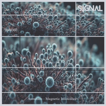 Asmodeo - Magnetic Innocence (2025)