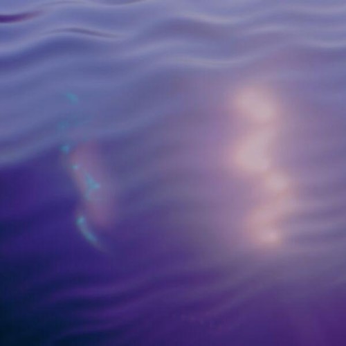 Fuzzyy, River Rainne - community acupuncture (2026) MP3