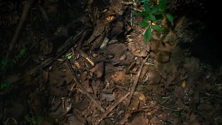 [Image: g3hb9qk0kxt4.jpg]