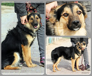 Be-Funky-collage-22.jpg&key=aa0df11b0511