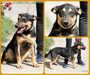 Be-Funky-collage-20.jpg&key=3dfb51ad5fa8