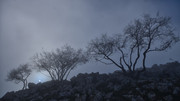 Baudon-2