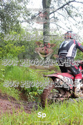 IMG-0328