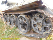DSCN6527