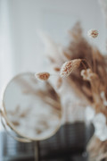 imagegraphic-6