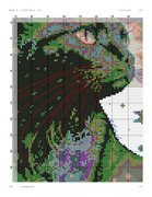 11005-GATO-LUNA-5
