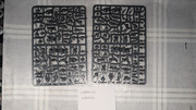 PXL-20260527-171901985
