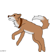 AFB04C06-3AEF-4544-BE95-3814D4E71DCE