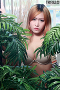 mayrita-78-001