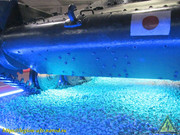 IMG-7474