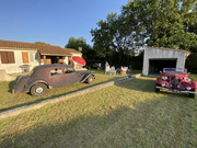 IMG-9246.jpg
