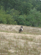 Teknival BG. 2017 (102)