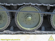 IMG-3446