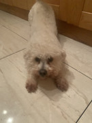 771DDADA-AE10-4182-97A1-07F3F8B958CA