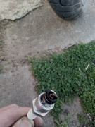 Posted Image