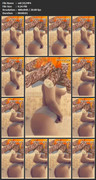 vid-(4)-MP4