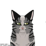 export202410100339436481