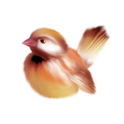 ISmell-Autumn-LL-Element41