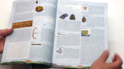 Odin-Dutch-rulebook-screenshot-(23)