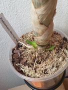 164053336_755732471999776_8187969986003652584_n