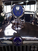 P-20211128-153130-p.jpg