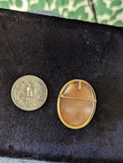 PXL_20230429_191902641