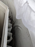 PXL 20260312 100641651