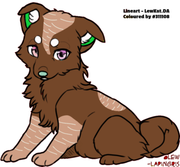 2024-07-15-12y-Kleki