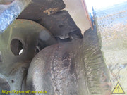 IMG-5598