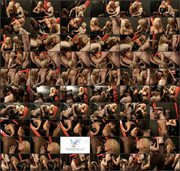 Hot Transsexuals 04 - Fetish Fuckers 01