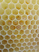 [Obrázky: 20240612-200715.jpg]