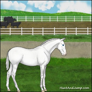 BBST Arena Side with Cows