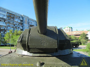 IMG-5528