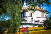 IMG-4941
