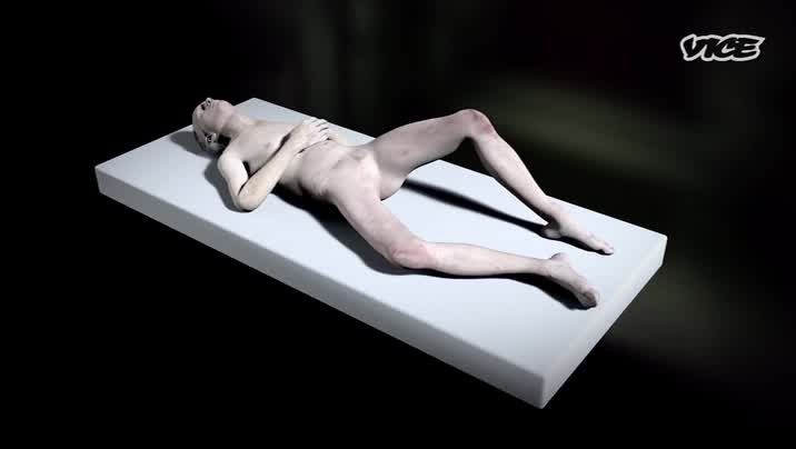 [Image: pxwk8u2t0bn8.jpg]