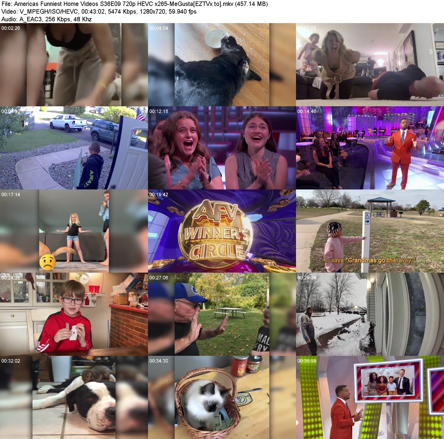 [Image: 4e875wmnpjxm.jpg]