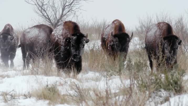 [Image: avw21z9om6qr.jpg]