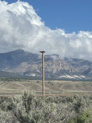 [Image: IMG-5838.jpg]